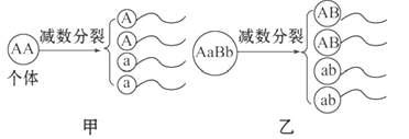 图片_x0020_397950158