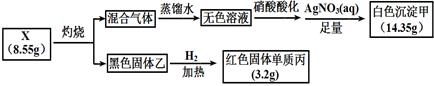 图片_x0020_100039