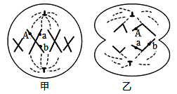 图片_x0020_699017814