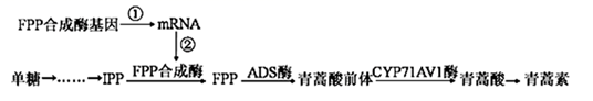 图片_x0020_1907820181