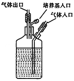 图片_x0020_100001