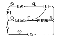 图片_x0020_100002