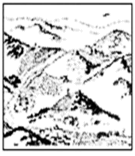 图片_x0020_100005