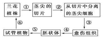 图片_x0020_100013