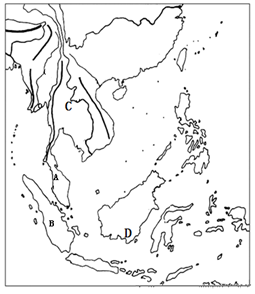 图片_x0020_100011