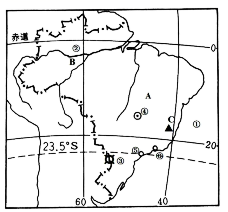 图片_x0020_100006
