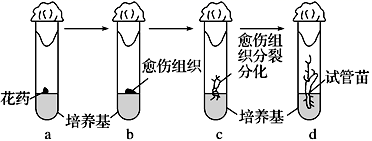 图片_x0020_100006