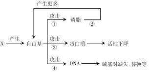 图片_x0020_1674614921