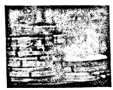 图片_x0020_100001