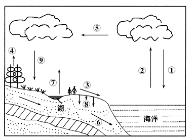 图片_x0020_100025