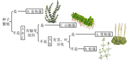 图片_x0020_1603484527