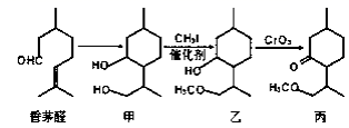 图片_x0020_100015