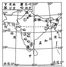 图片_x0020_100008