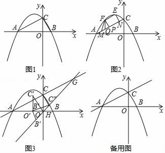 图片_x0020_1646587229
