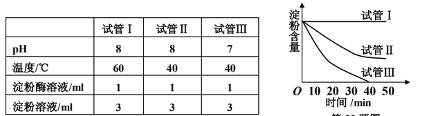 图片_x0020_100018