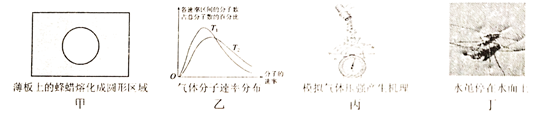 图片_x0020_100005