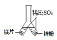 图片_x0020_100003