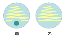 图片_x0020_100004