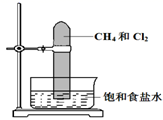 图片_x0020_100001
