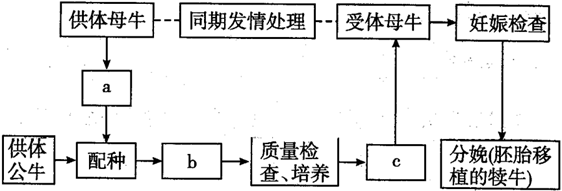 图片_x0020_100014