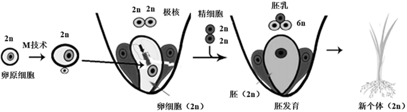 图片_x0020_1397763565