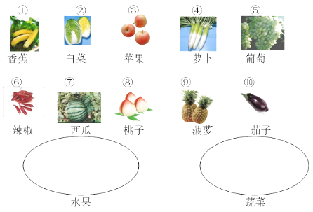 图片_x0020_37