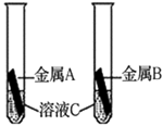图片_x0020_1740710876