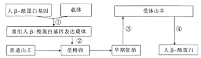 图片_x0020_100016