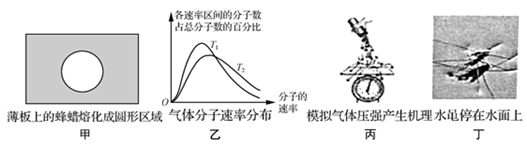 图片_x0020_1874250406
