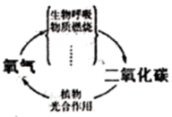 图片_x0020_100006
