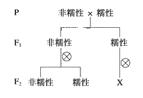 图片_x0020_100008