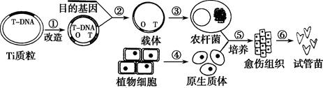 图片_x0020_100016