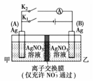 图片_x0020_649575892