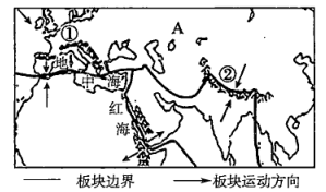 图片_x0020_983775947
