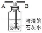 图片_x0020_1093177363