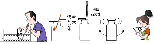 图片_x0020_2122284151