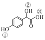图片_x0020_100051