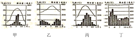图片_x0020_100012