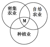 图片_x0020_100004