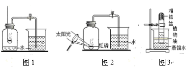 图片_x0020_100022