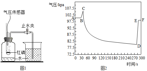图片_x0020_100018