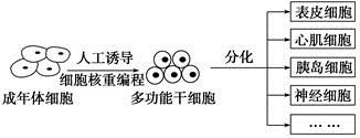 图片_x0020_1866491792