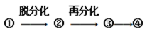 图片_x0020_100001