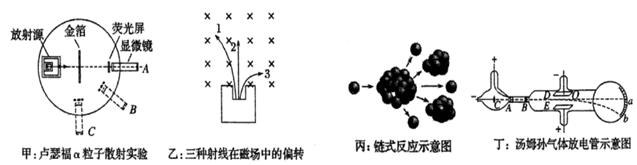图片_x0020_1709995124