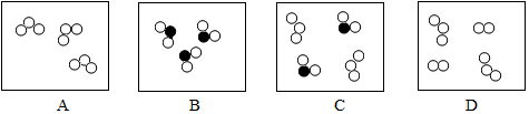 图片_x0020_768832318