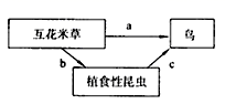 图片_x0020_1794506488