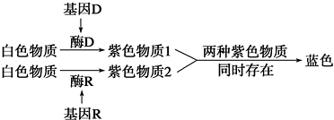 图片_x0020_100011