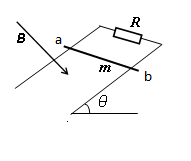 图片_x0020_100015