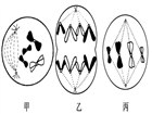 图片_x0020_100001