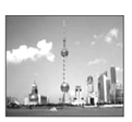 图片_x0020_100009